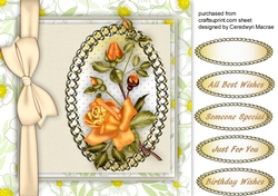 Beautiful Yellow  rambling Rose   1,