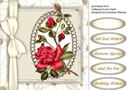 Beautiful Red  rambling Rose  on Sepia 4