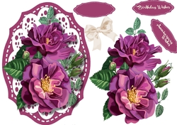 Beautiful Summer Roses 3
