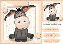 Cute Little Donkey