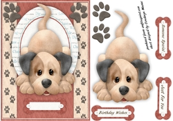 Cute Llittle Pup Oliver