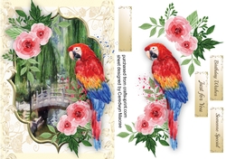Beautiful Parrot and Scene