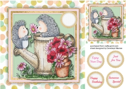Hedgehog Popsy Daisy 