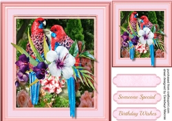 Stunning Parrots in Pink Frame