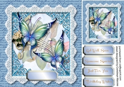 Beautiful Butterflys and Lace   1