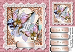 Beautiful Butterflys and Lace 2