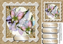 Beautiful Butterflys and Lace 3
