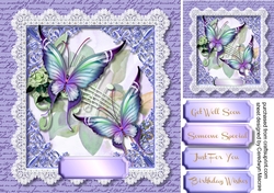 Beautiful Butterflys and Lace   4