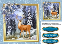 Beautiful Stag on the Hll