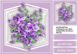 Beautiful Violets for Someone Special