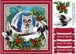 Owl i a Crystal Ball