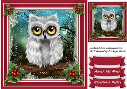 Lovely Christmas Owl on a Branch