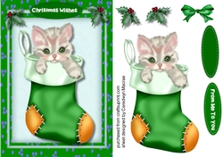 Cute Cat in a Boot