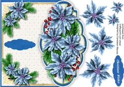 Over The Edge  blue Poinsettias