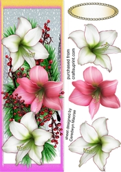 Large DL Festive Amaryllis