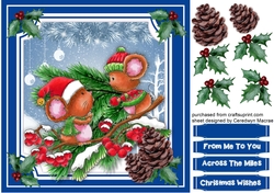Christmas Catch Mice