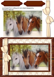 Beautiful Horses at the Fence