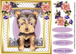 Adorable Yorkie in a Stitched frame