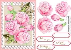 A5 Stunning Pink Roses on lace