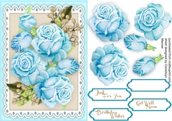 A5 Stunning Aqua Roses on lace