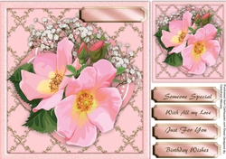 Beautiful Pink Roses on a Golden Mat