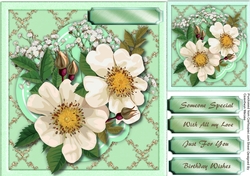 White Brier Roses on a Golden Mat