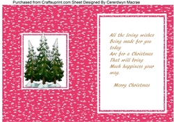 Christmas Incert 4