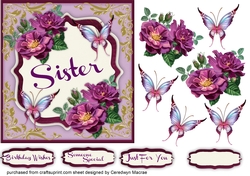 For a Special Sister
