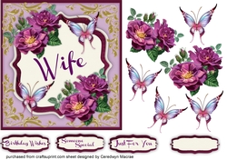 For a Special Wife