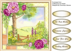 Country Style and Peonies
