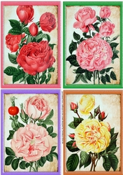 4 Beautiful Roses notelets 1,