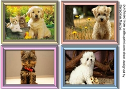 Lovely Set of 4 Cute Dog Notelets 