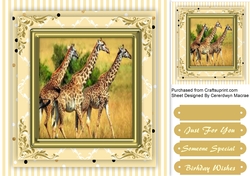Beautiful Giraffes i a Gold Frame