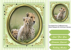 Beautiful Leopard Family in a Gold Frame