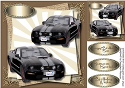 Beautiful Black Mustang for the Boys