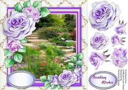 Stunning Lilac Roses and Stepping Stones