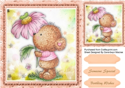 Happiness is a Beary Daisy