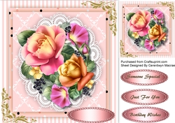 Beautiful Summer Roses