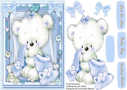 Beautiful Bear in a Blue Blanket