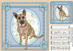 Beautiful German Sherherd Dog 