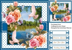 Beautiful Love Birds and Rose 