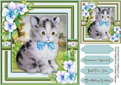 Beautiful Kitten and Pencil Flowers