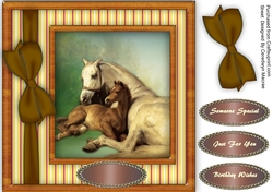 Beautiful Mother and Foal at rest 