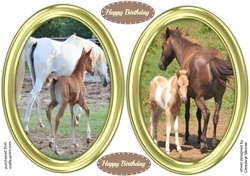 2 , Beautiful Oval Toppers With Mother and Foal ,