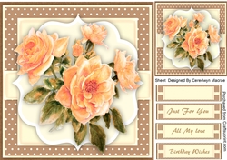 Beautyiful  Apricot roses