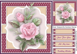 Beautyiful roses on a Polka mat