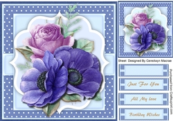 Beautyiful Blue Anemones