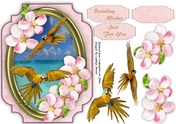 Beautiful Golden Parrots on the Wing 