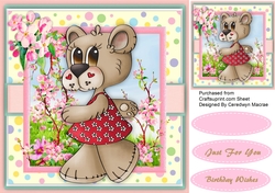 A Walk in the Blossom 
