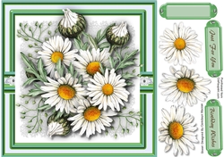 Stunning Daisys On Lace